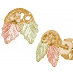 Earrings - by Landstrom's